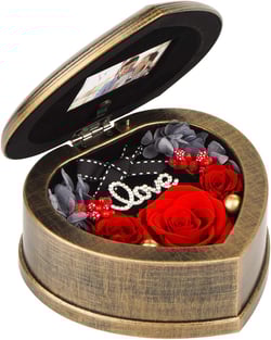 Handmade Preserved Flowers 3 Real Red Rose in Musical Box with Photo Frame, Long Lasting Fresh Flower Gifts for Wife Her Girlfriend on Mothers Day Valentine's Day Anniversary Birthday Red