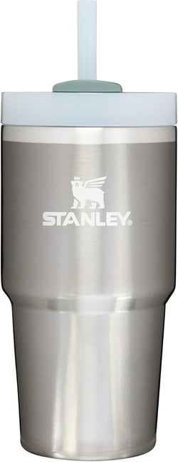 Stanley Quencher H2.0 Tumbler with Straw 20 oz | Flowstate 3-Position Lid | Cup Holder Compatible for Travel | Insulated Stainless Steel Cup | BPA-Free | Stainless Steel Shale 20 Ounces Stainless Steel Shale