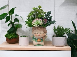 Succulents arrangement in Fairy Girl face pot, artificial floral arrangement, home decor, gift for her, Mothers day gift, face head planter