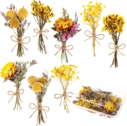 8 Pcs Mini Gypsophila Bouquets Natural Gypsophila Yellow Dried Flowers Bouquet Dry Flower&Leaves Daisy Dried Embossing Flower Bundles Plant Stem Bunch for DIY Craft,Photo Props,Wedding Card Decoration Type6
