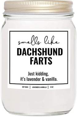 You Nique Designs, Dachshund Candle, 8 Oz, Dachshund Gifts for Women, Weiner Dog Gifts, Daschund, Wiener Dog, Daushaund, Dashound, All Natural Soy Vegan Aromatherapy Candles (Lavender & Vanilla)