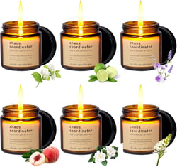 6 Pieces Chaos Coordinator Gifts for Women- Chaos Coordinator Scented Candles Gifts Thank You Gift for Coworker, Teacher, Boss Lady ，Manager Teacher Best Friend，Mother's Day Gifts